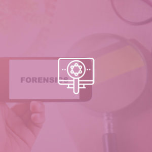 Certified Digital Forensics Examiner (CDFE) - Complete Video Training