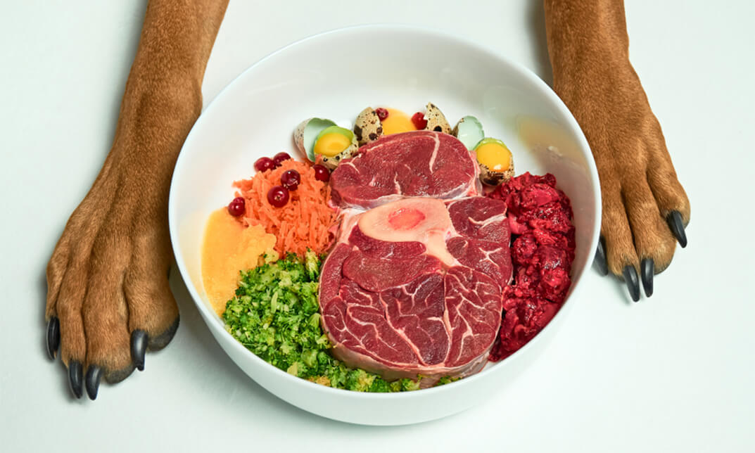 Dog Training - Feed Your Dog A Raw Diet