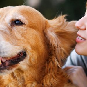 Animal Care: Dog Whispering and Pet Nutrition