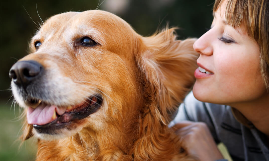 Animal Care: Dog Whispering and Pet Nutrition ~ Skill Up