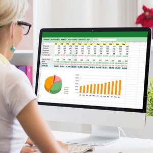 Microsoft Excel Bundle and Data Management Course