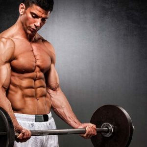 Bodybuilding & Gym Workouts