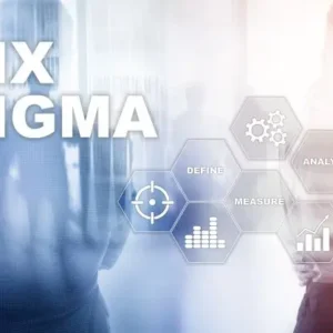 Six Sigma & Lean Process