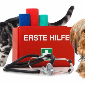 Pet First Aid and CPR