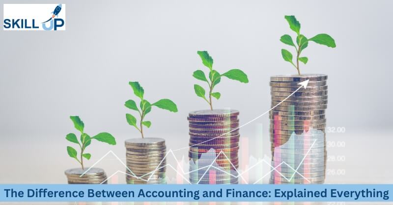 The Difference Between Accounting and Finance Explained Everything