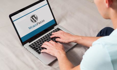 Creating The Perfect SEO Optimized WordPress Website from Beginner to Advance