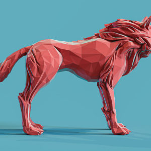 Low Poly Wolf in Cinema 4D