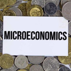 Microeconomics Basics