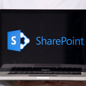 Microsoft SharePoint Site Owner Training