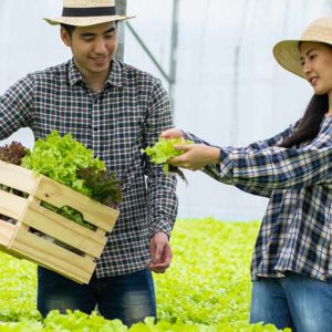 Organic Food Gardening Online Course