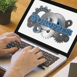 Wordpress Security and Plugin Masterclass