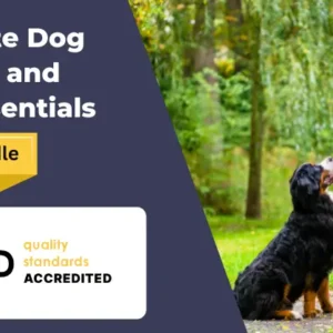 Complete Dog Training and Care Essentials