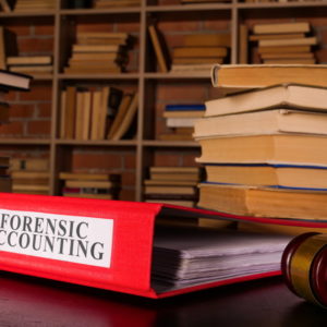 Forensic Accounting Course