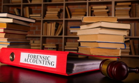 Forensic Accounting Course