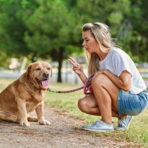 Canine Communication