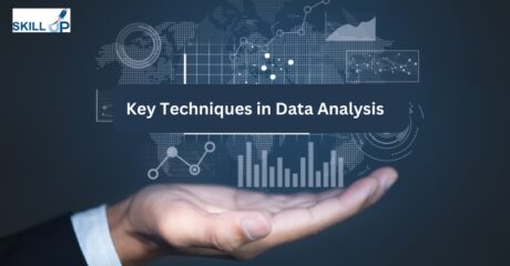 Key Techniques in Data Analysis