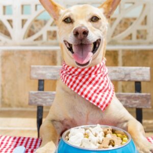 Complete Raw Diet for Dog