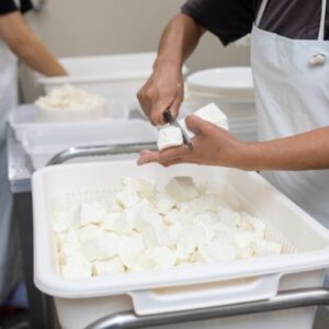 Cheese Making