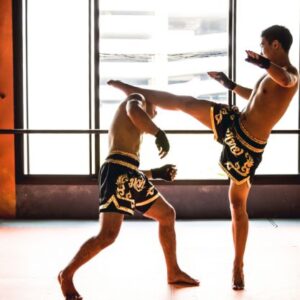 Kickboxing Online Course