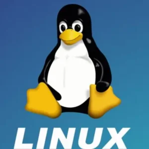 Linux Filesystem Troubleshooting