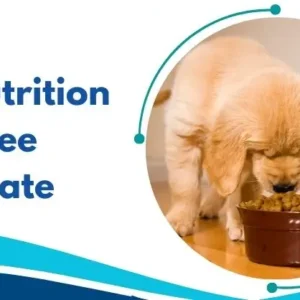 Dog Nutrition with Free Certificate