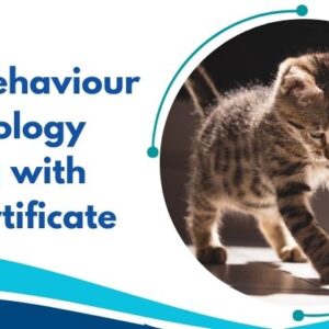 Feline Behaviour & Psychology Training with Free Certificate
