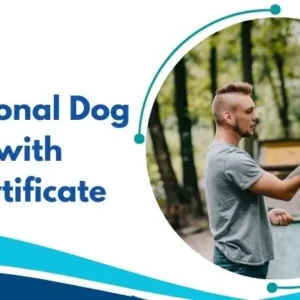 Professional Dog Trainer with Free Certificate