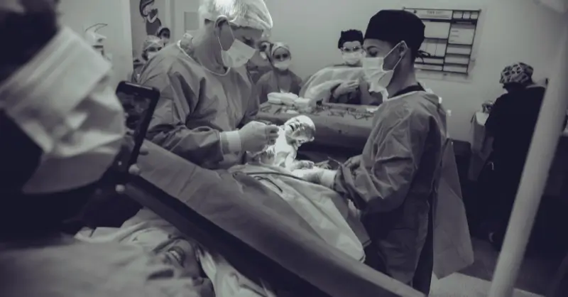 Career Outlook for Neonatal Nurse Practitioners in the Next Decade