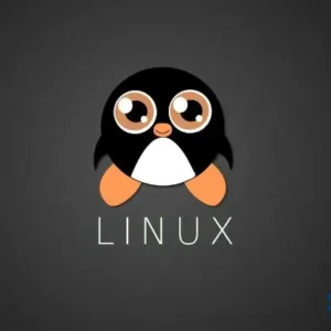 Guide to Security for Linux Systems