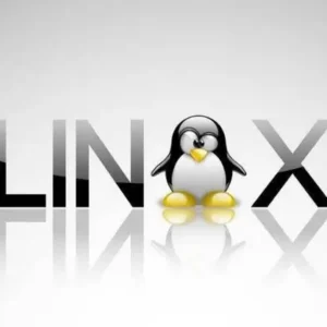 Linux PAM Administration
