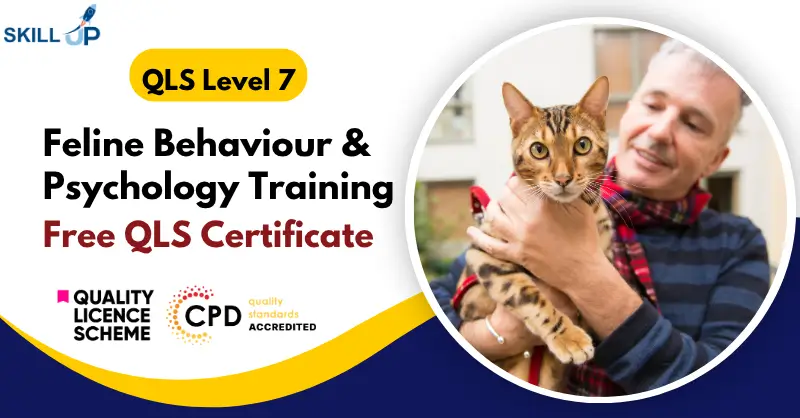 Feline Behaviour & Psychology Training with Free QLS Certificate