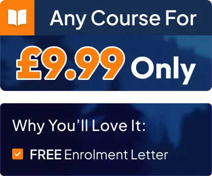 Bonfire Night Special Price