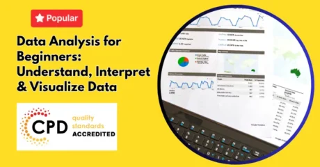 Data Analysis for Beginners: Understand, Interpret & Visualize Data