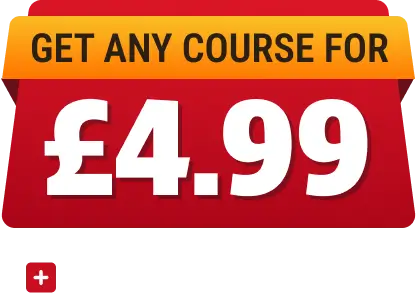 Black Friday Special Offer Pricing