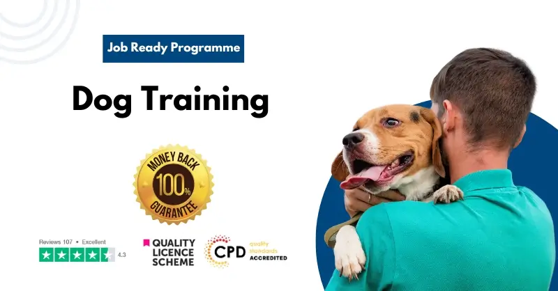 Dog Training Job Ready Programme