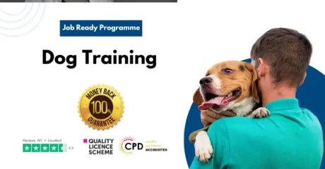 Dog Training Job Ready Programme with Money Back Guarantee