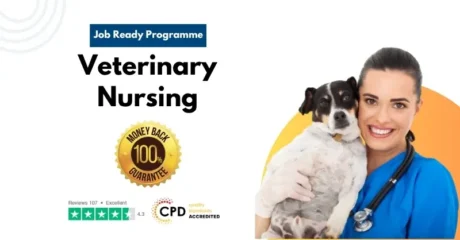 Veterinary Nursing Job Ready Programme with Money Back Guarantee