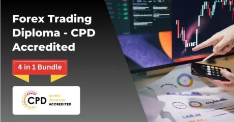 Forex Trading Diploma – CPD Accredited