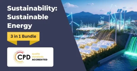 Sustainability: Sustainable Energy