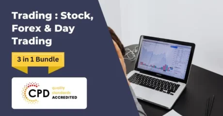 Trading : Stock, Forex & Day Trading – CPD Certified Diploma