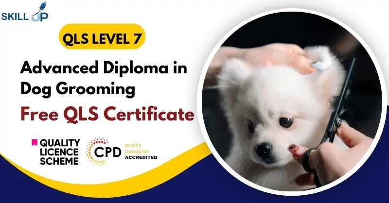 Advanced Diploma in Dog Grooming with Free Certificate