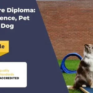 Animal Care Diploma Animal Science, Pet First Aid & Dog Training