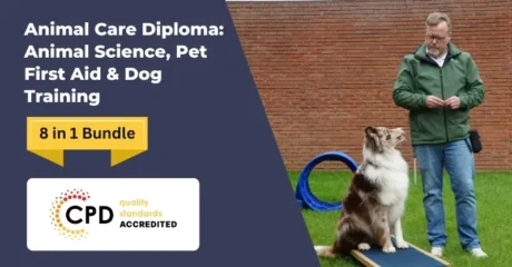 Animal Care Diploma: Animal Science, Pet First Aid & Dog Training