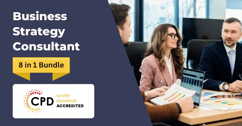 Business Strategy Consultant