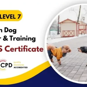 Diploma in Dog Behaviour & Training with Free Certificate