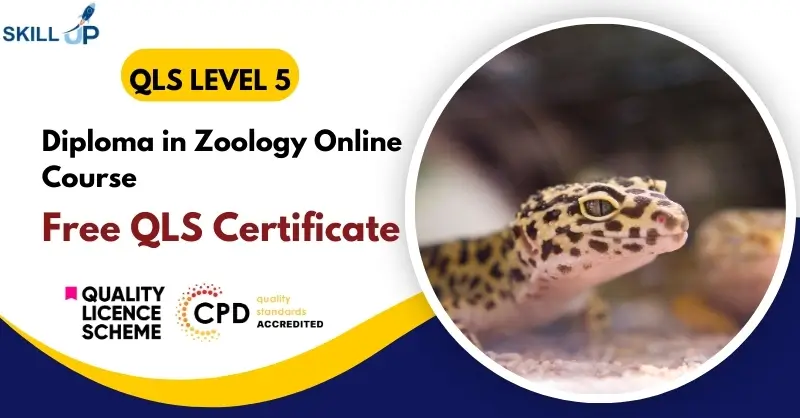 Diploma in Zoology Online Course with Free Certificate