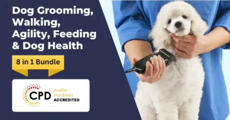 Dog Grooming, Walking, Agility, Feeding & Dog Health Training