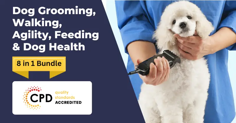 Dog Grooming, Walking, Agility, Feeding & Dog Health Training