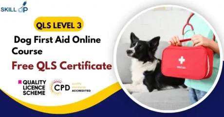 Level 3 Dog First Aid Online Course with Free Certificate