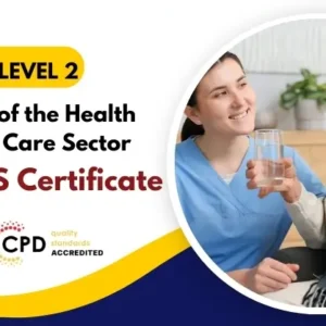 Overview of the Health and Social Care Sector with Free Certificate